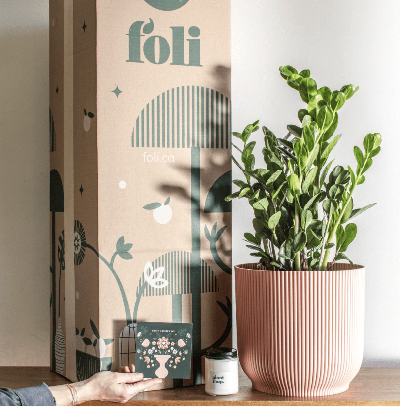 mother's day plant foli 